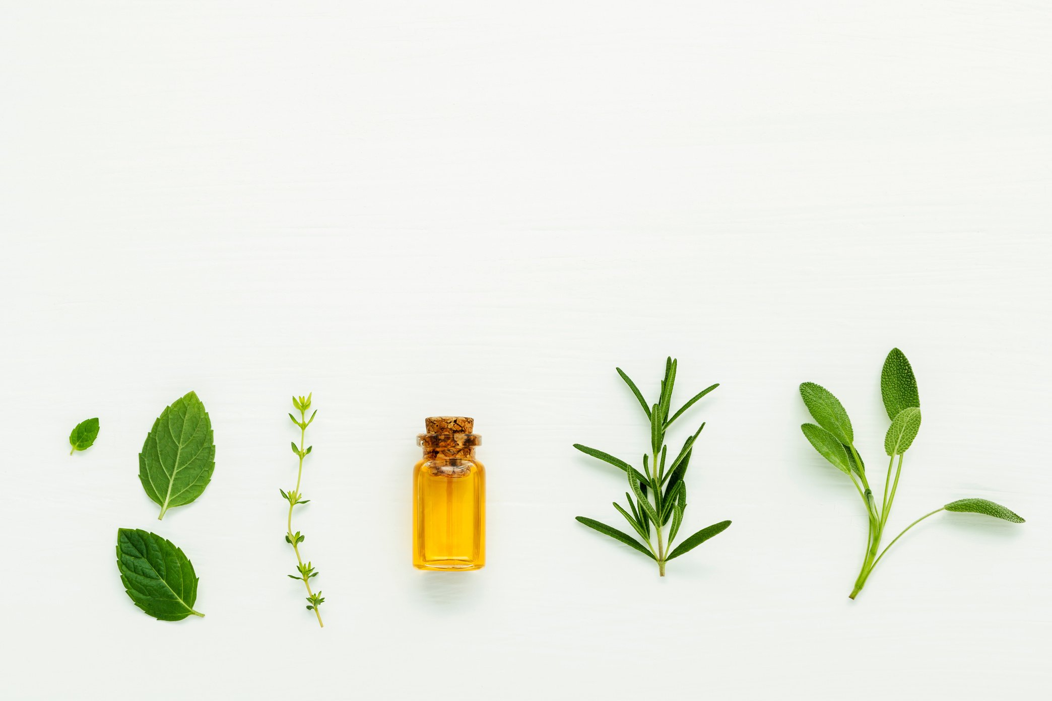 Bottle of essential oil with  fresh herbal sage, rosemary, thyme